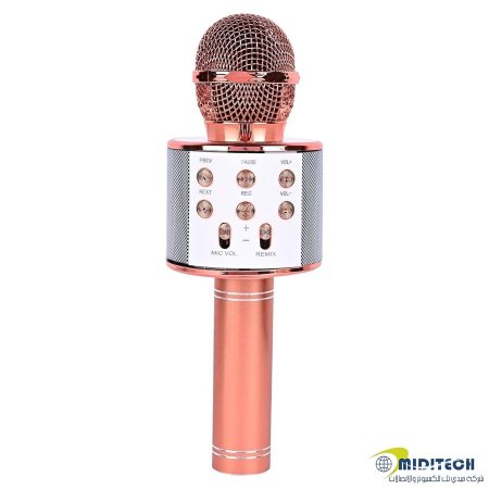 الميكروفون اللاسلكي WS-858